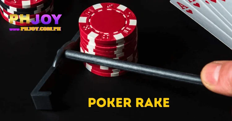 Rake is the profit the casino collects from the bets placed